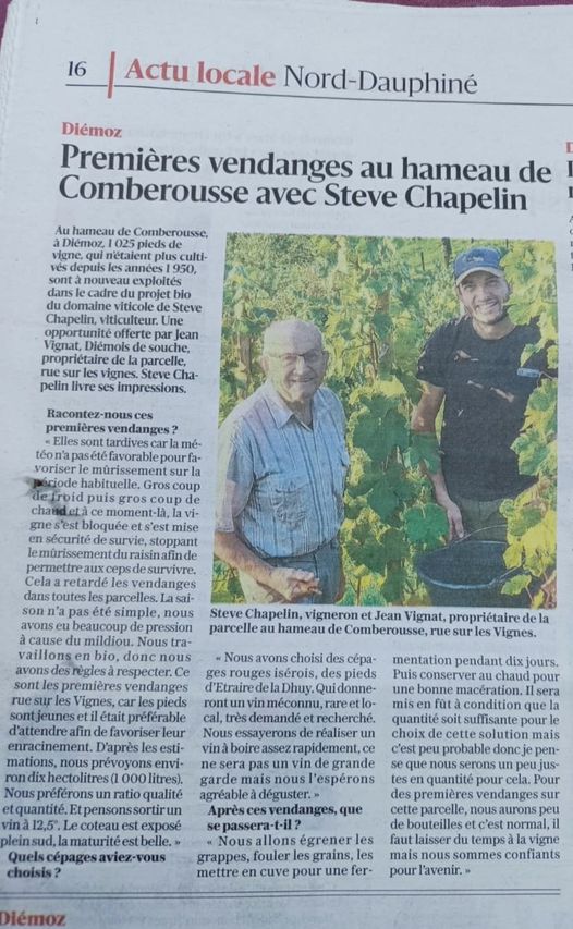 Domaine-Chapelin-Vignoble-de-l-isere-vigneron-beauvoir-de-marc-vigne-iseroise-vin-bio-actualités-premieres-vendanges-au-hameau-de-comberousse-avec-steve-chapelin