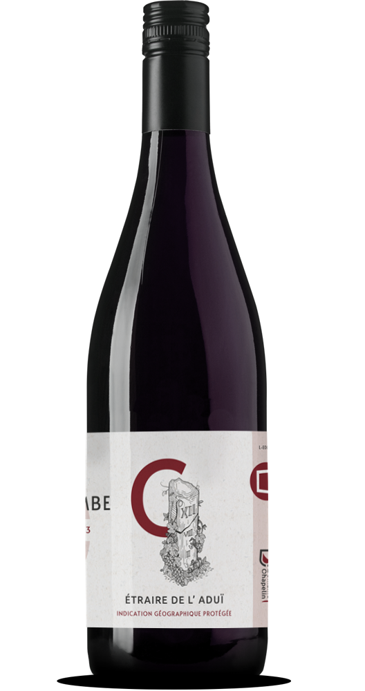 Domaine-Chapelin-Vignoble-de-l-isere-vigneron-beauvoir-de-marc-vigne-iseroise-vin-acceuil-bouteille-rouge-etraire-del-ladui-la-combe-04